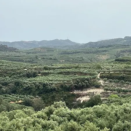 Vila Ion - Xirokampi Agia (Chania, Crete)